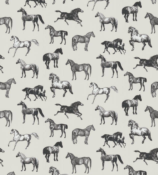 Sandberg Colette - Mural Graphite Wallcovering Sample WSBCOLETTE0411