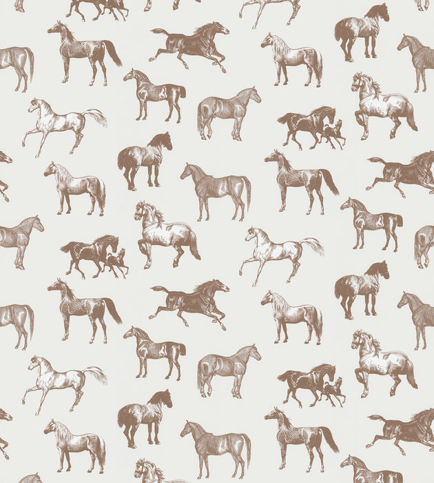 Sandberg Colette - Mural Brown Wallcovering Sample WSBCOLETTE0412