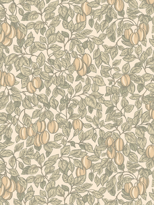 Scalamandre Emrik Oat Wallpaper WSB08390466