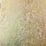 Scalamandre Hand Hammered Leaf Platinum Wallpaper Sample WTO4ML29
