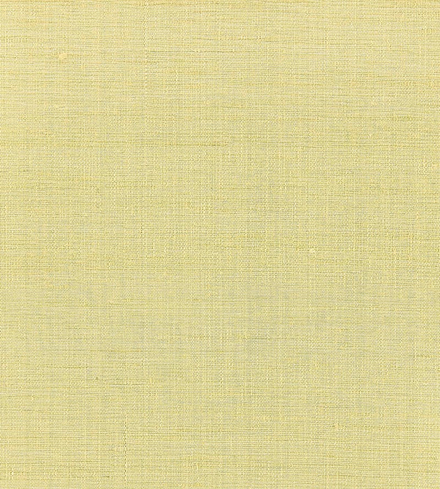 Scalamandre Orissa Silk Citrone Wallpaper Sample WTT246615