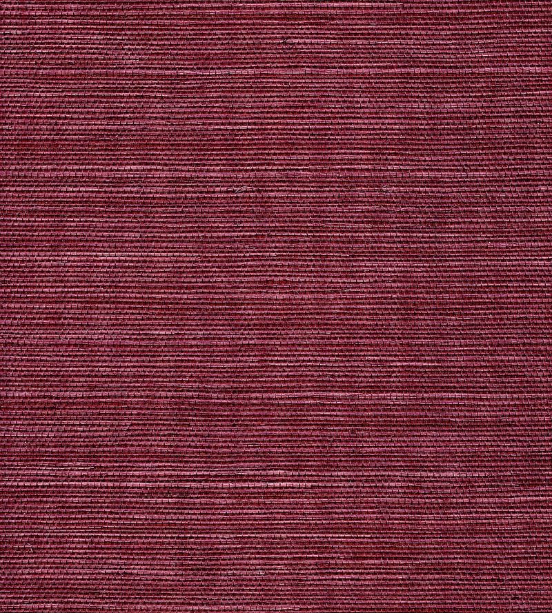 Scalamandre Organic Sisal Luscious Wallpaper Sample WTW30GT39
