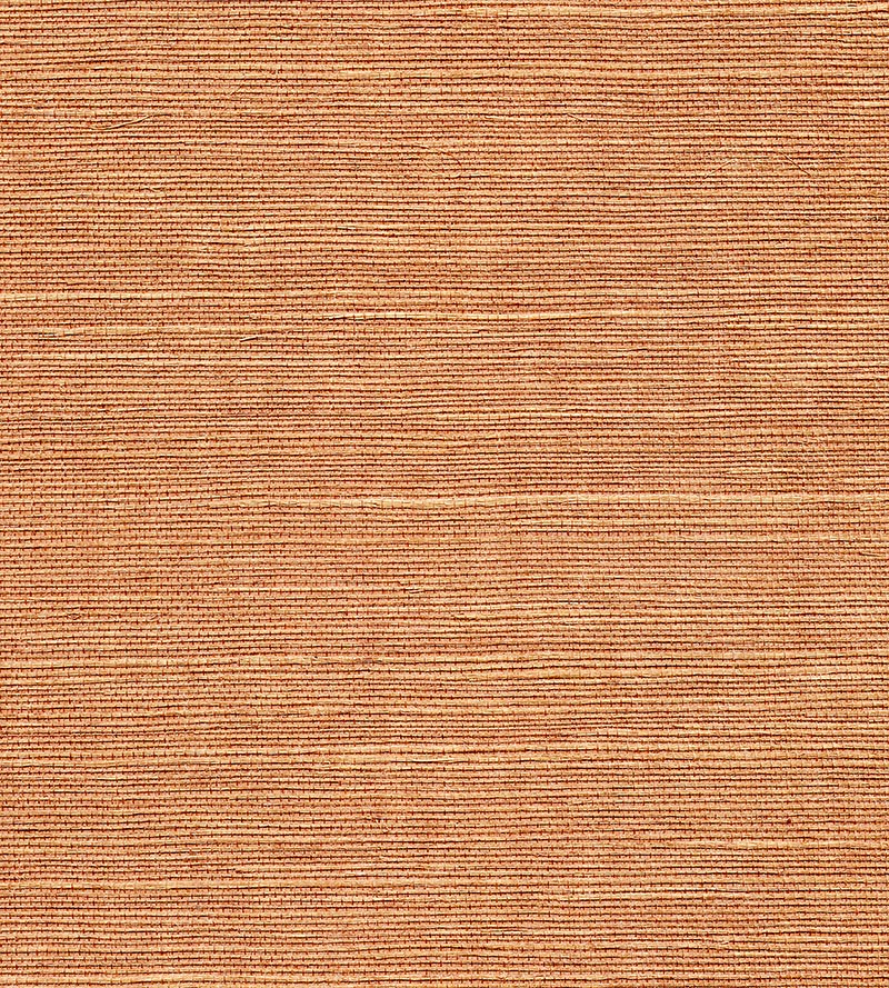 Scalamandre Organic Sisal Java Wallpaper Sample WTW34GT39