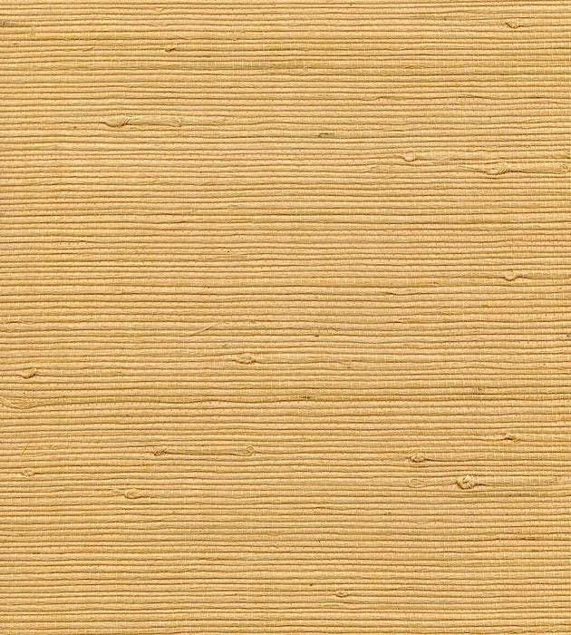 Scalamandre Organic Jute Maize Wallpaper Sample WTW59GT39