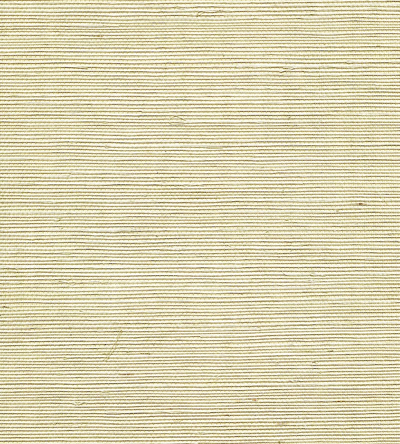 Scalamandre Organic Sisal Sea Spray Wallpaper Sample WTW77GT39