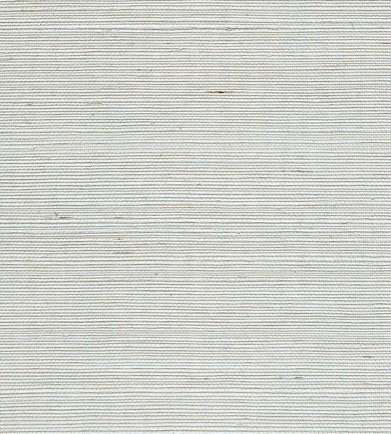 Scalamandre Organic Sisal Refresh Wallpaper WTW80GT39