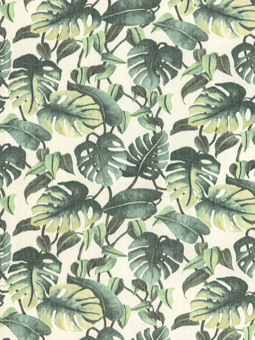Old World Weavers Rainforest Warp Print Leaf Fabric WW166590001