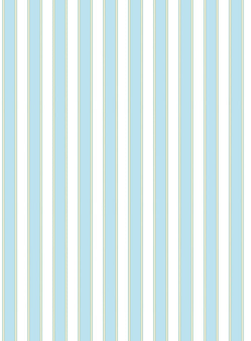 Scalamandre Piano Stripe | Wallcovering Robin'S Egg Wallpaper Sample WWWP88608D0005