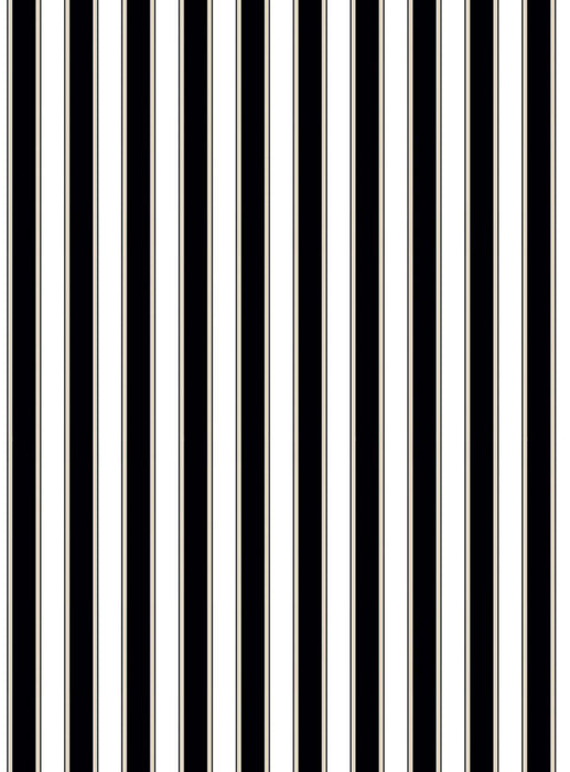 Scalamandre Piano Stripe | Wallcovering Ebony Wallpaper Sample WWWP88608D0007