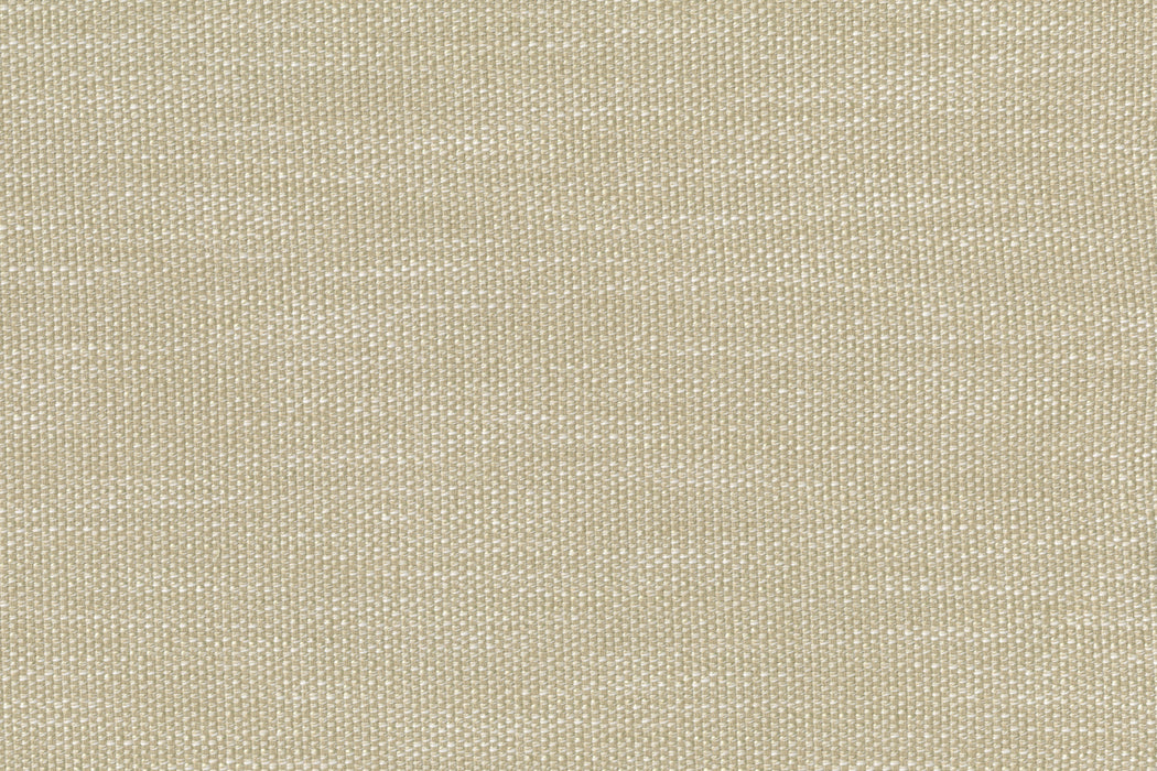Perennials Whippersnapper Breakers Fabric Sample 925-261
