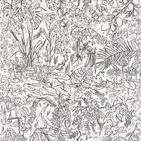 Pierre Frey Flore Fusain Wallpaper FP089001
