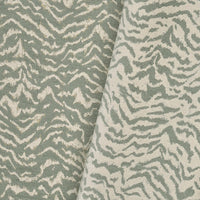 Pierre Frey Zebreau Aqua Fabric F3949001