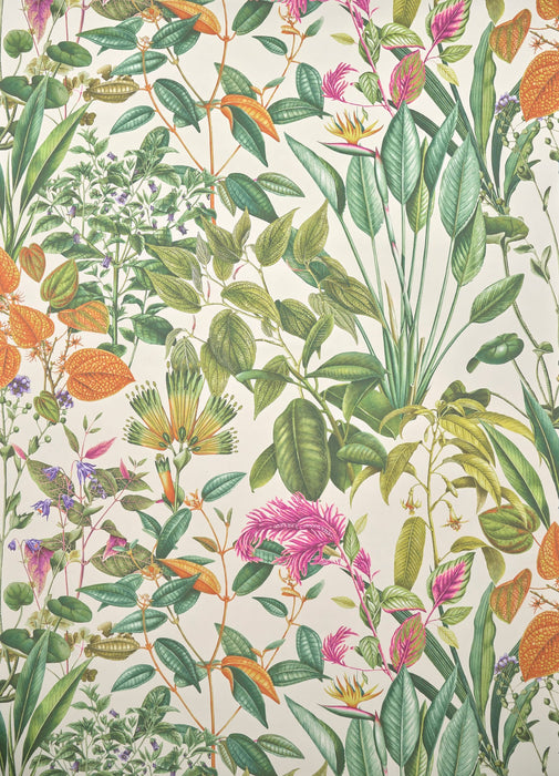 Pierre Frey Fantaisie tropicale Vegetal Wallpaper Sample FP278001