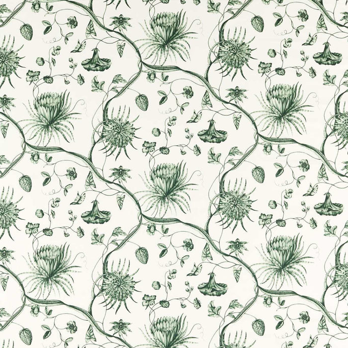 Zoffany Phaedra Toile Huntsmans Green Fabric Sample ZCOT322740