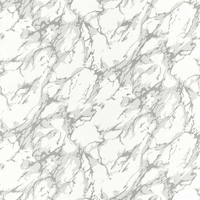 Zoffany French Marble Empire Grey/Perfect White Fabric Sample ZCOT322748
