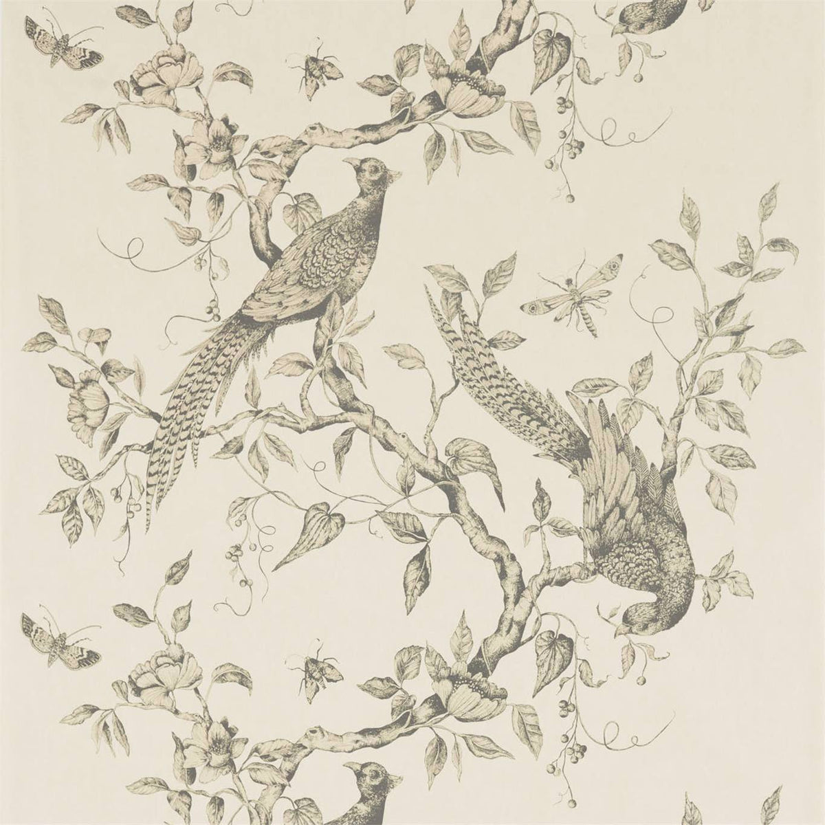 Zoffany Darnley Snow ZDAR312848 Wallpaper | 40% Off (Samples)