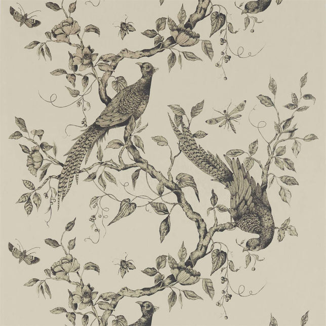 Colar E Sample Zoffany Darnley Snow ZDAR312848 Sample | 40% Off (Samples)