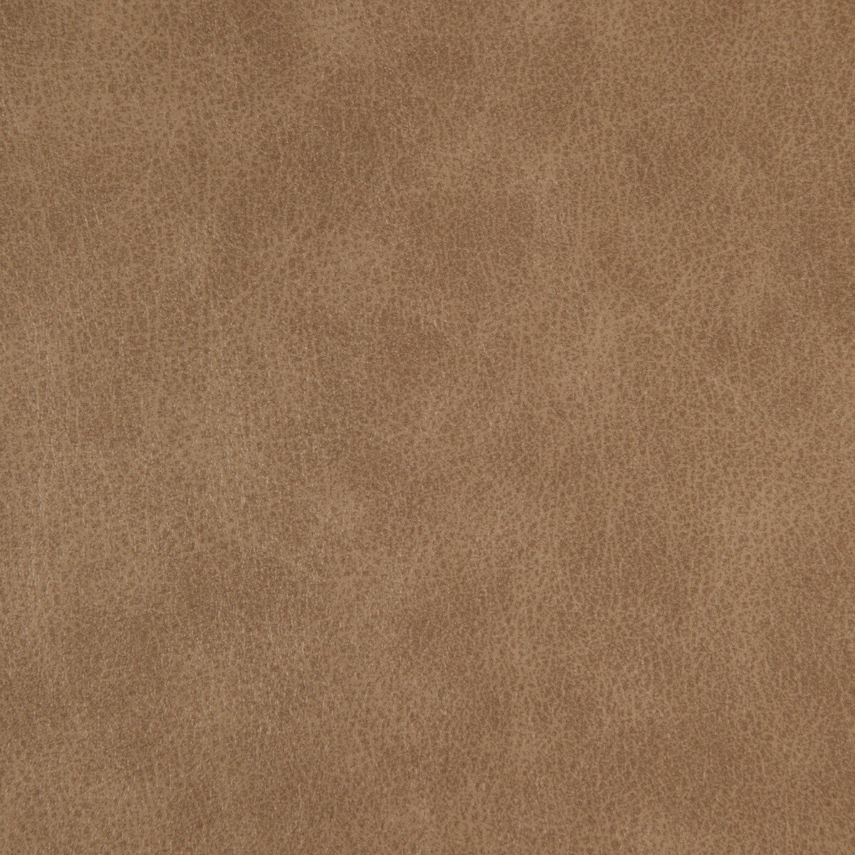 Kravet Design ZENON.106.0 Fabric Sample