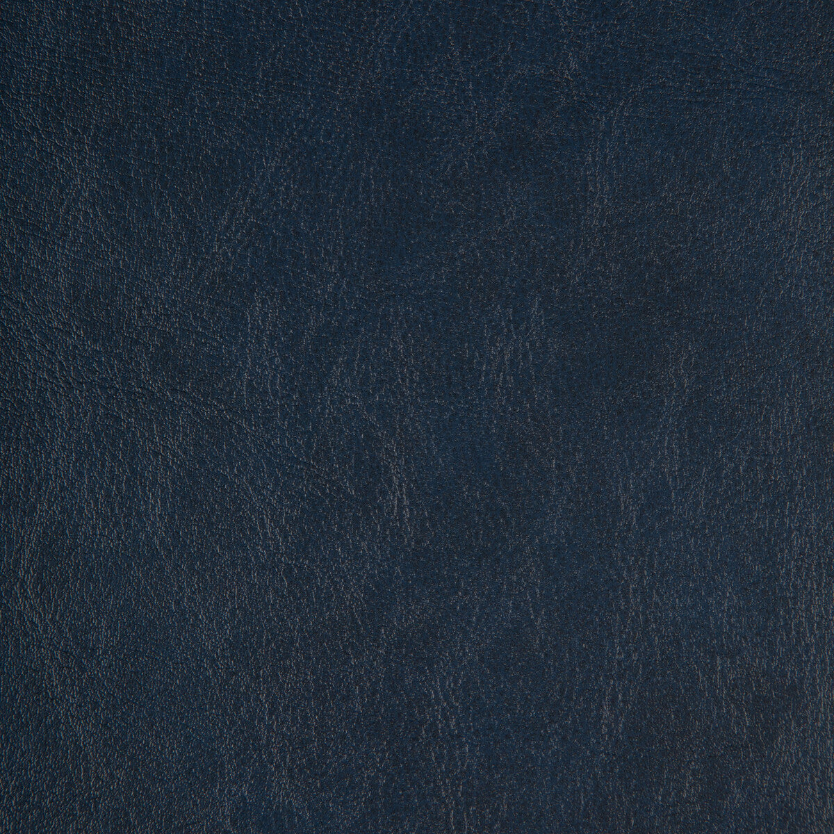 Kravet Design ZENON.50.0 Fabric Sample