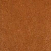 Kravet Design ZENON.6.0 Fabric