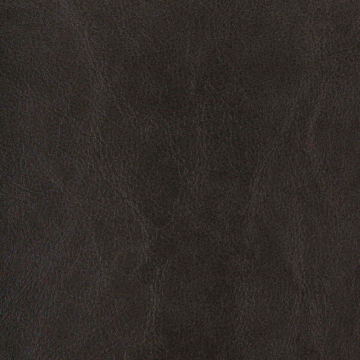 Kravet Design ZENON.8.0 Fabric Sample