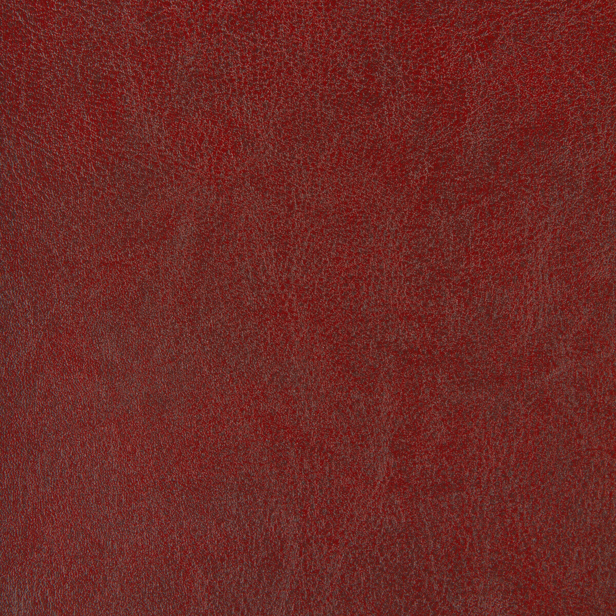 Kravet Design ZENON.9.0 Fabric Sample