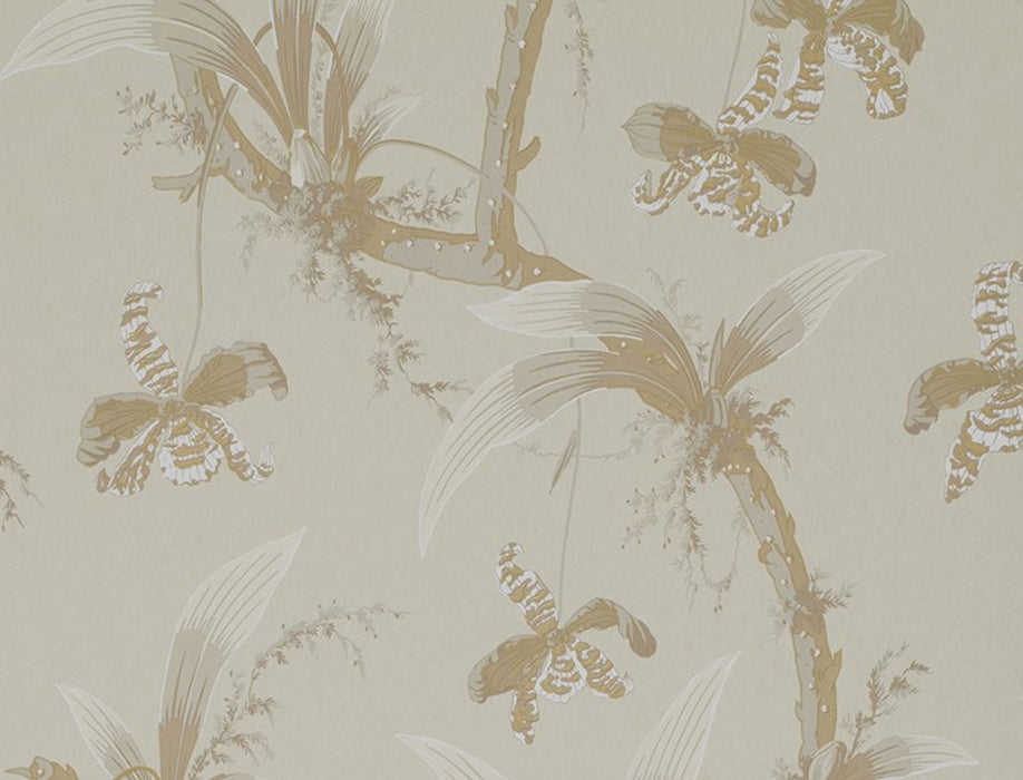 Jim Thompson Mandarin Orchids  Buttermilk Wallpaper Sample JT021017001