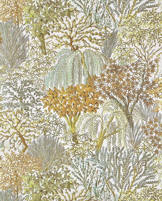 Pierre Frey Eldorado Foret Wallpaper Sample FP104002