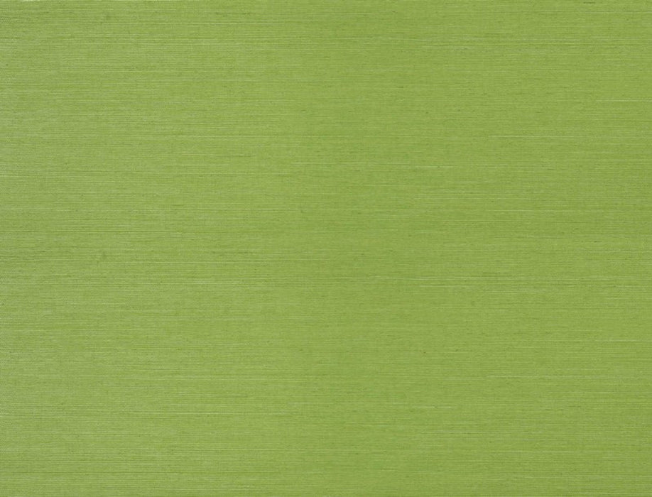 Jim Thompson Surat Sisal  Pistachio Wallpaper Sample JT021038015