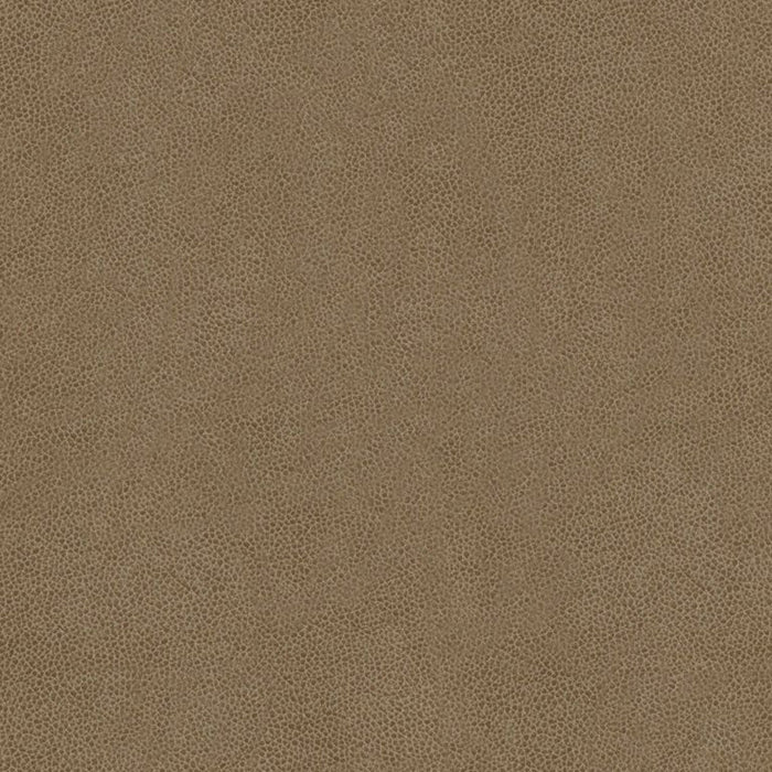 Kravet Contract Abilene Stone Fabric Sample ABILENE.11.0