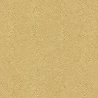 Kravet Contract Abilene Dune Fabric ABILENE.16.0