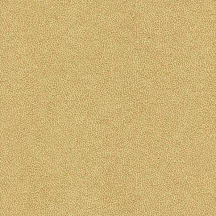Kravet Contract Abilene Dune Fabric Sample ABILENE.16.0