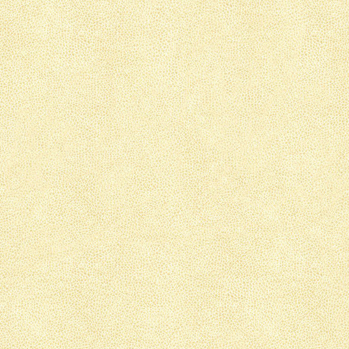 Kravet Contract Abilene Fossil Fabric Sample ABILENE.1.0