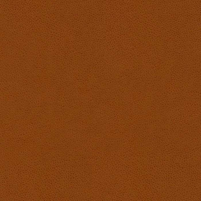 Kravet Contract Abilene Penny Fabric Sample ABILENE.24.0