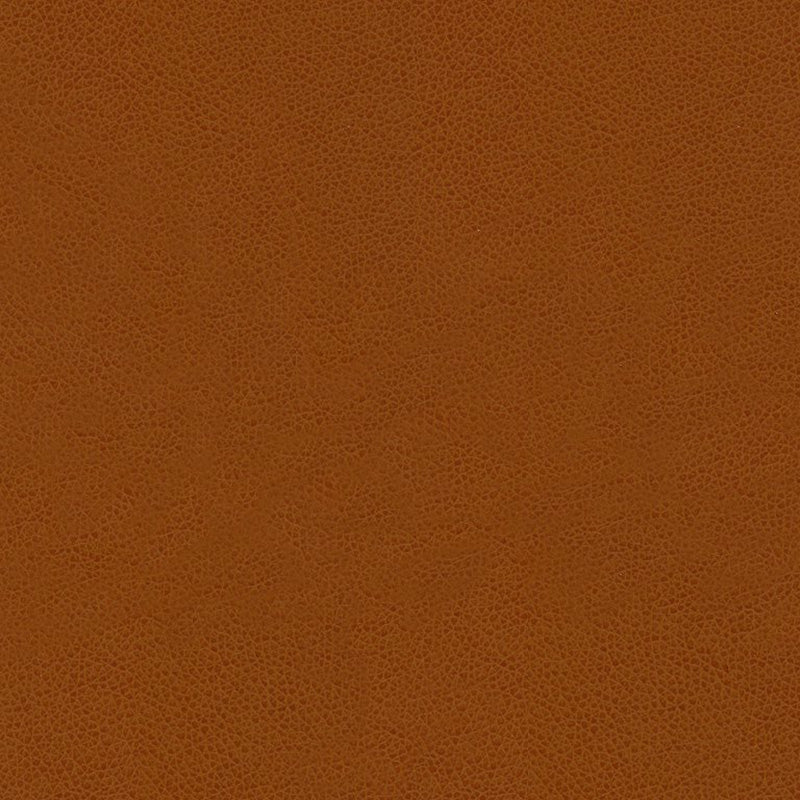 Kravet Contract Abilene Penny Fabric ABILENE.24.0