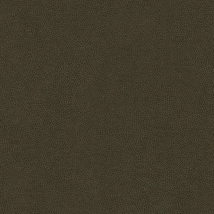 Kravet Contract Abilene Stallion Fabric Sample ABILENE.66.0