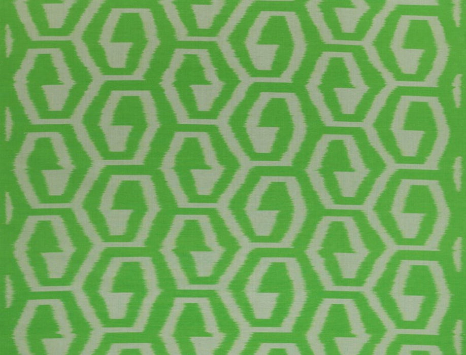 Jim Thompson Anais Kiwi Fabric Sample JT013577004