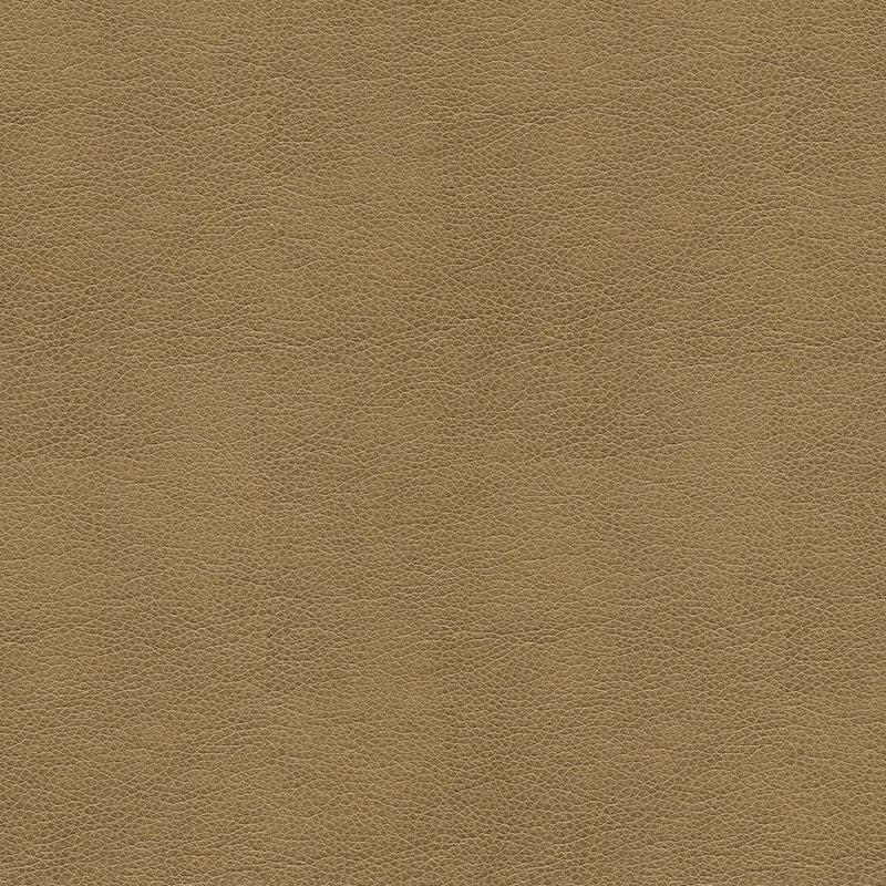 Kravet Contract Balara 106 BALARA.106.0 Sample | 40% Off (Samples)