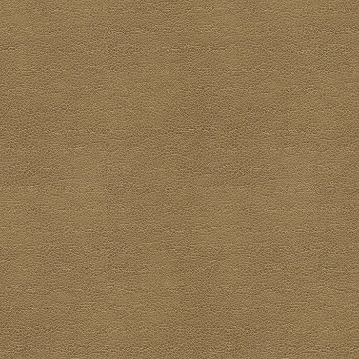 Kravet Contract Balara 106 Fabric Sample BALARA.106.0