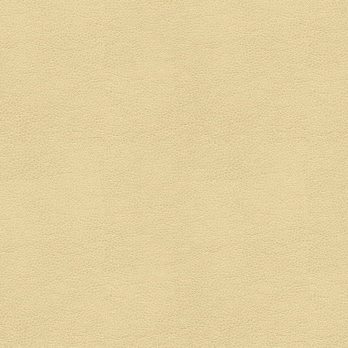 Kravet Contract Balara 116 Fabric Sample BALARA.116.0