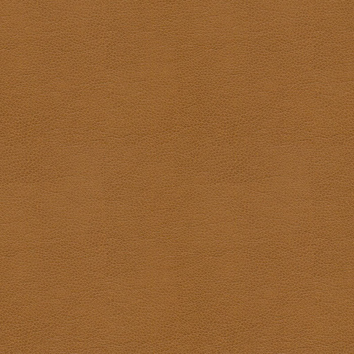 Kravet Contract Balara 16 Fabric Sample BALARA.16.0