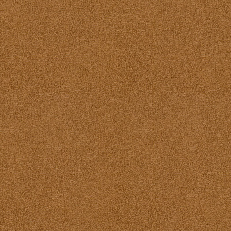 Kravet Contract Balara 16 BALARA.16.0 Fabric | 40% Off (Samples)