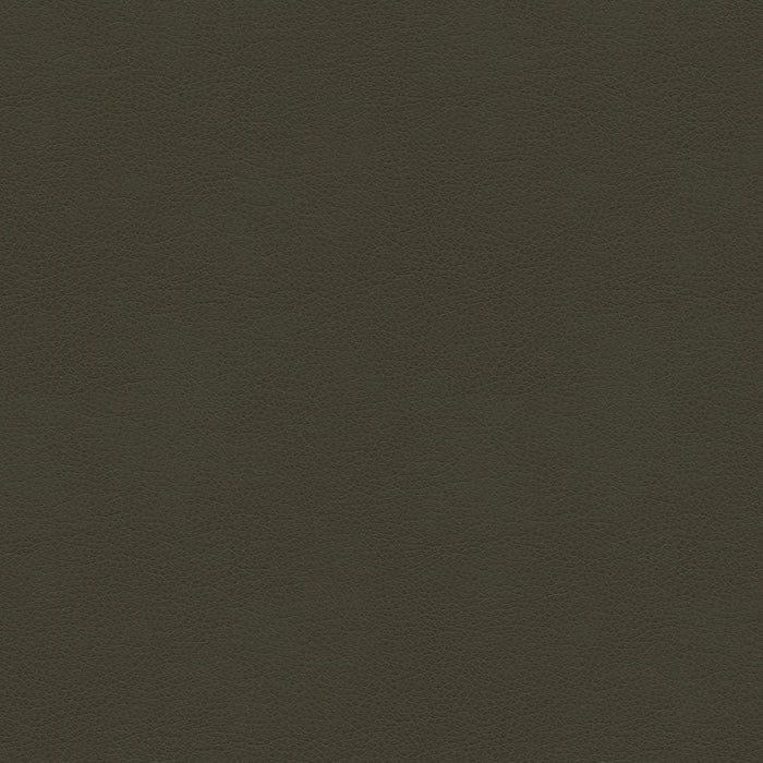 Kravet Contract Balara 21 Fabric Sample BALARA.21.0