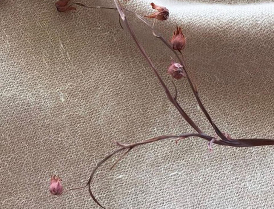 Fox Linton Kynance Thunder Fabric Sample FL010054007