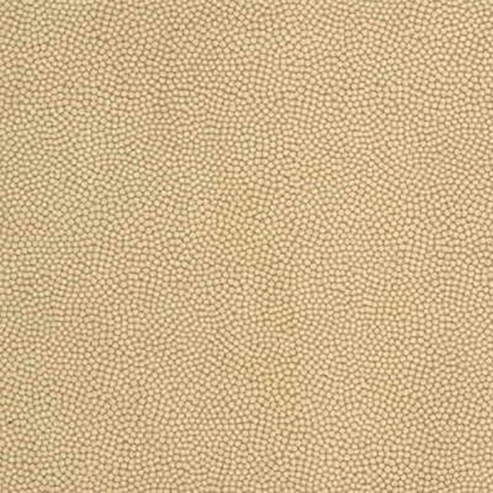 Kravet Couture Beautymark Sandstone Fabric Sample BEAUTYMARK.16.0