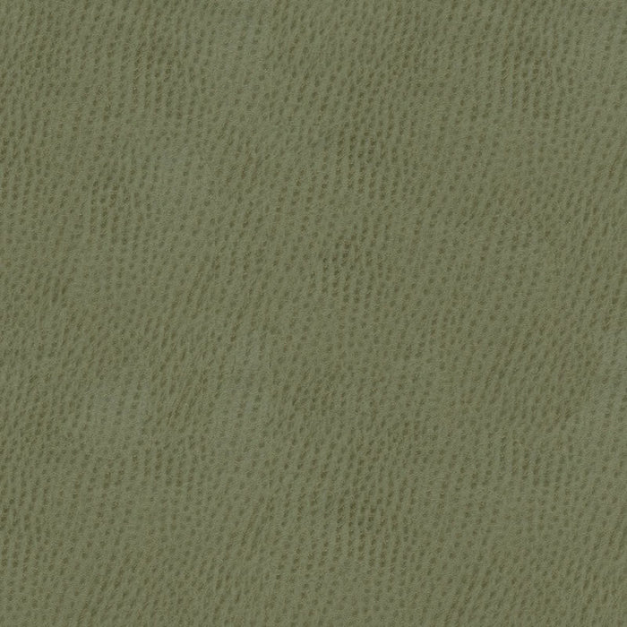 Kravet Contract Belus 11 Fabric Sample BELUS.11.0