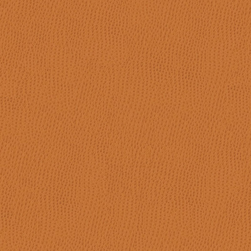 Kravet Contract Belus 212 Fabric BELUS.212.0