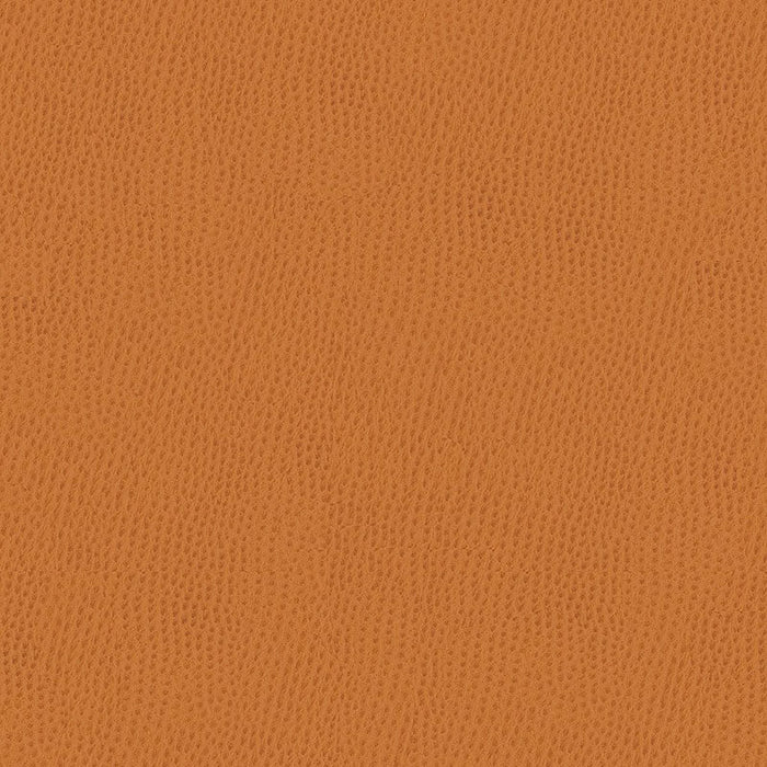 Kravet Contract Belus 212 Fabric Sample BELUS.212.0
