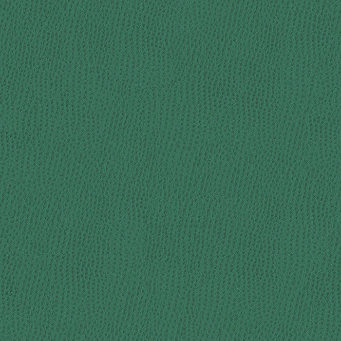 Kravet Contract Belus 35 Fabric Sample BELUS.35.0