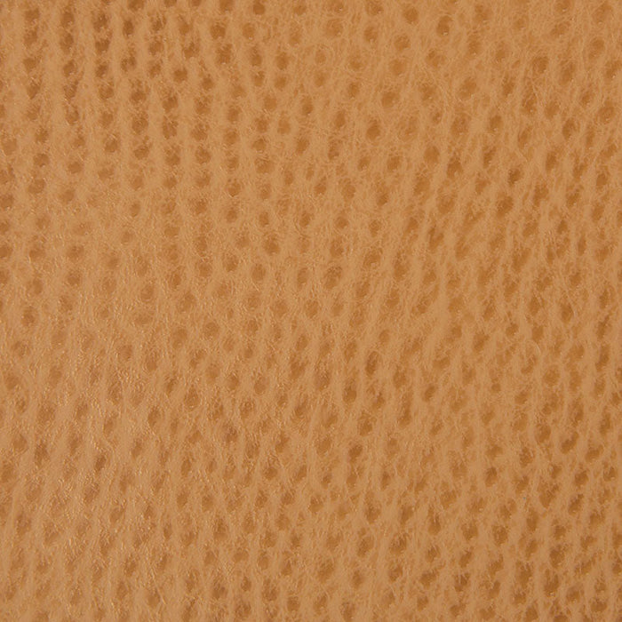 Kravet Contract Belus 4 Fabric Sample BELUS.4.0